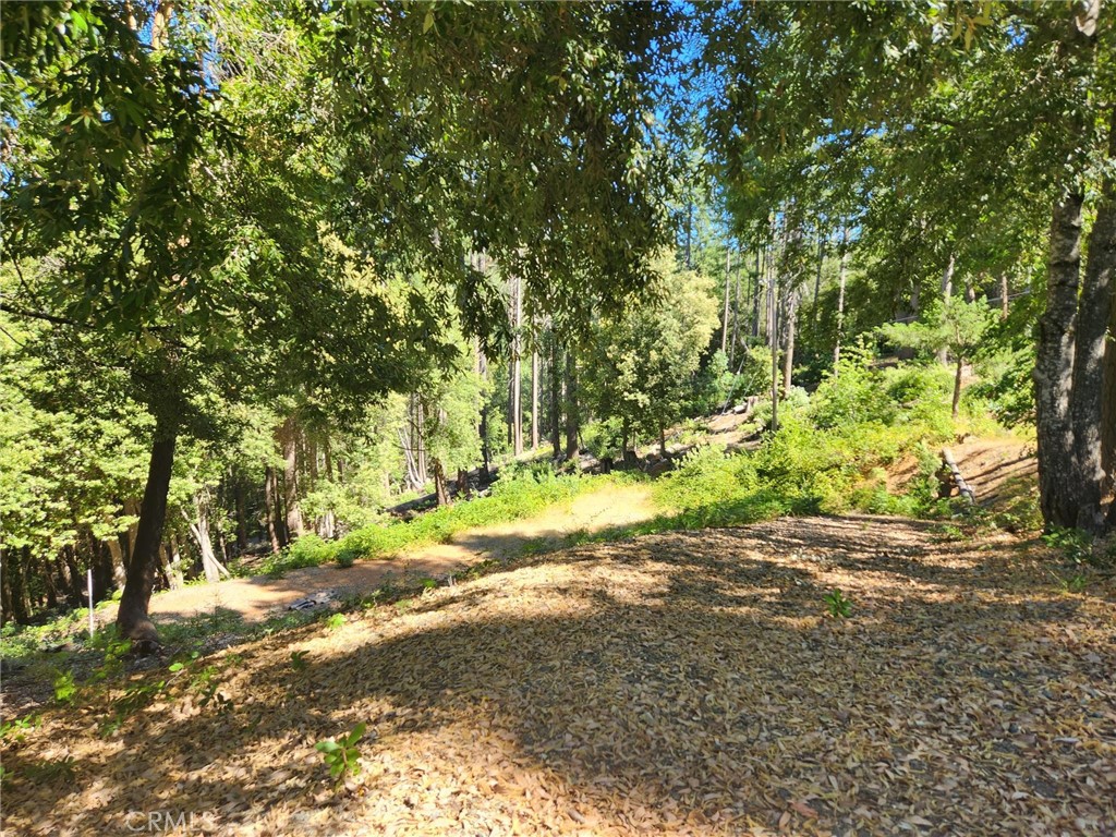 11157 Breezy Boulevard Property Photo 3