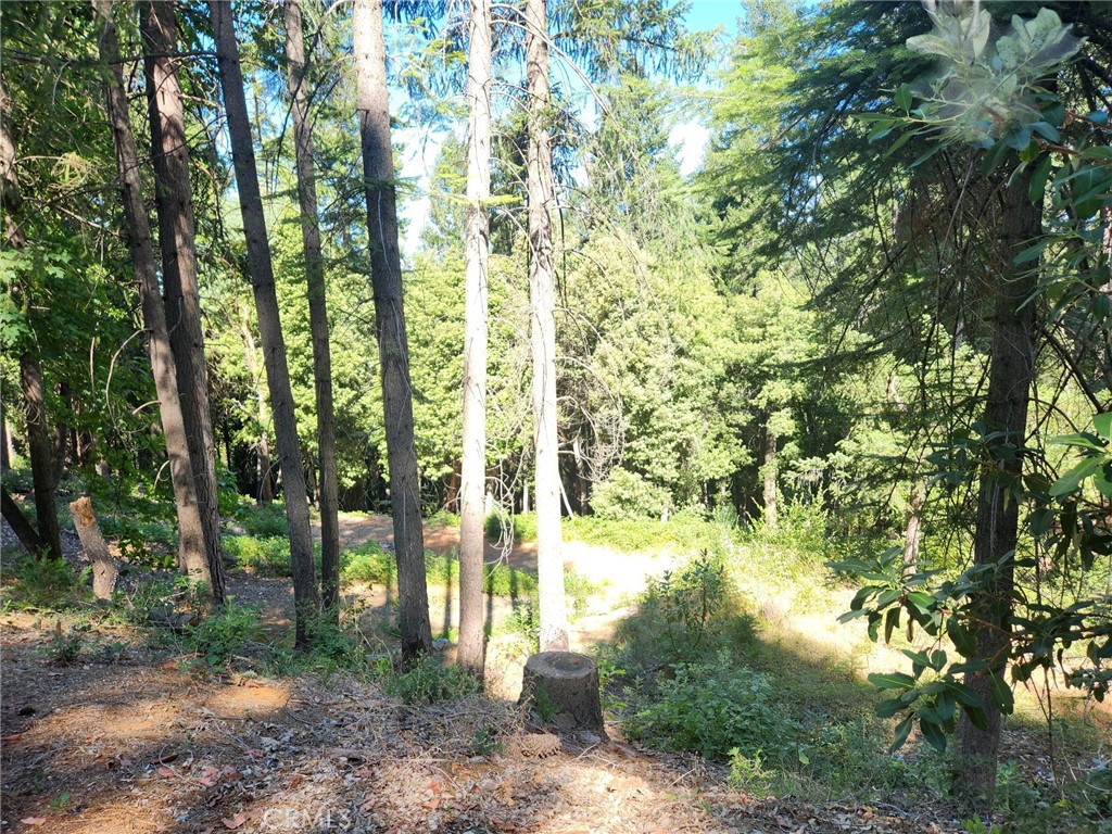 11157 Breezy Boulevard Property Photo 4