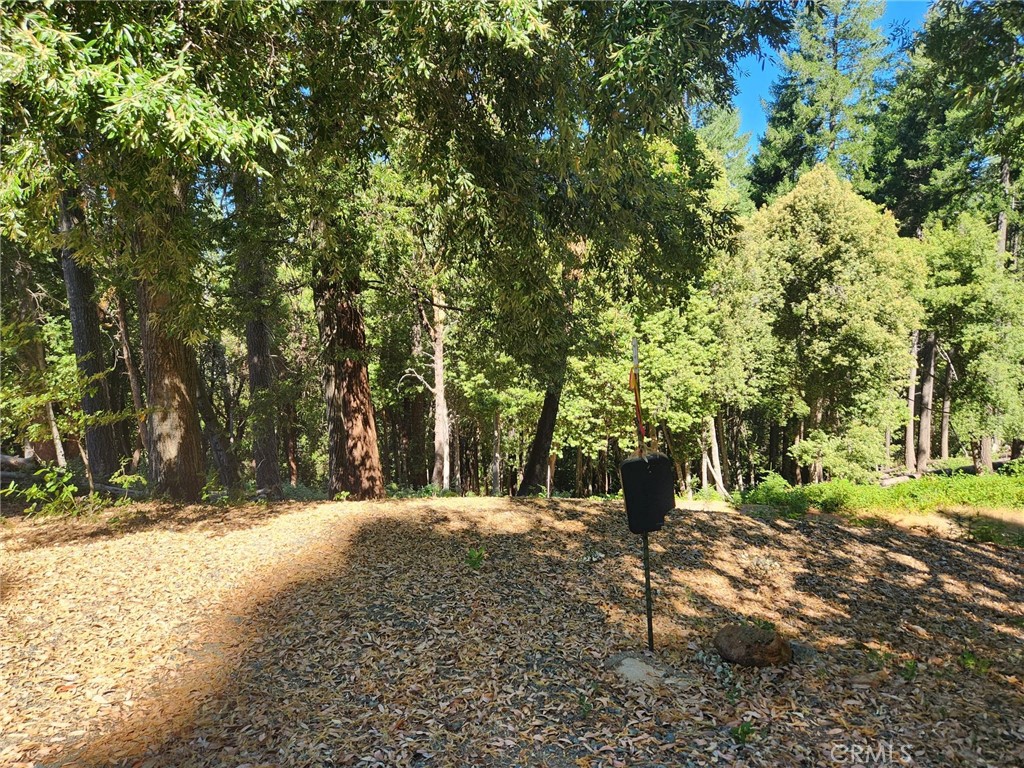 11157 Breezy Boulevard Property Photo 6