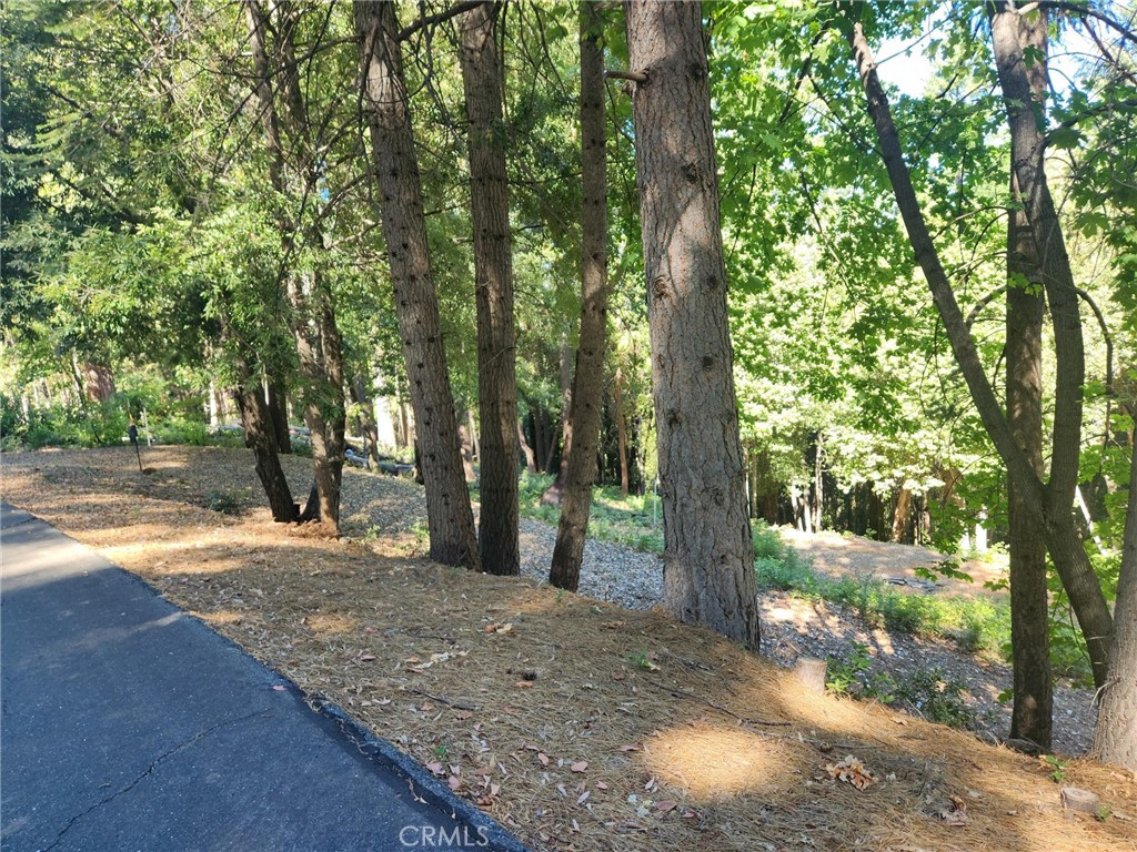 11157 Breezy Boulevard Property Photo 8