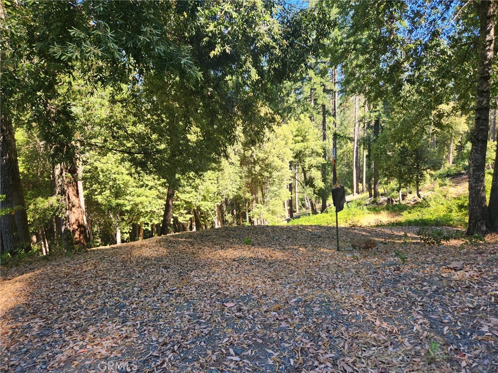 11157 Breezy Boulevard Property Photo 9