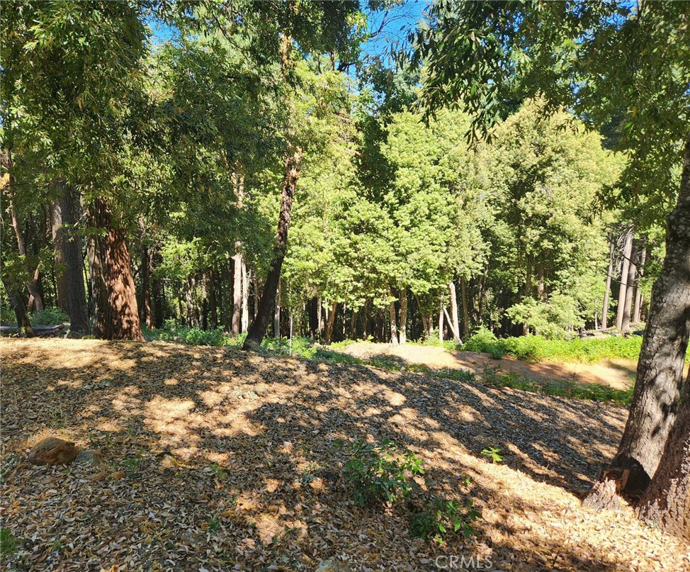 11157 Breezy Boulevard Property Photo 12