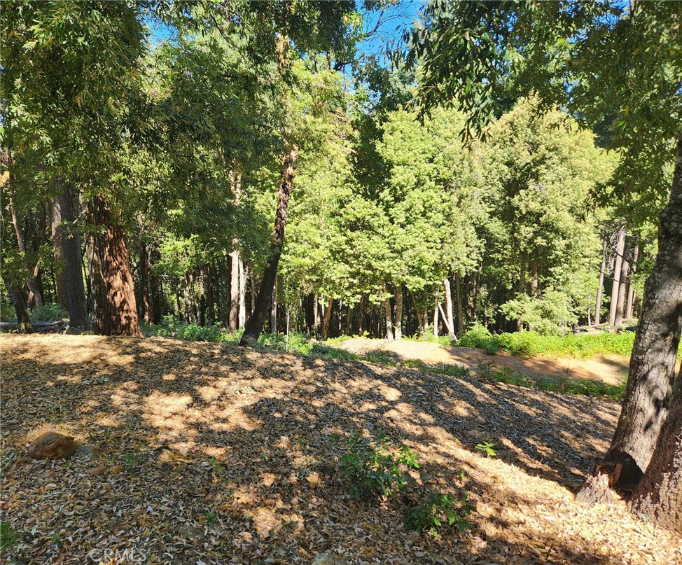 11157 Breezy Boulevard Property Photo 12