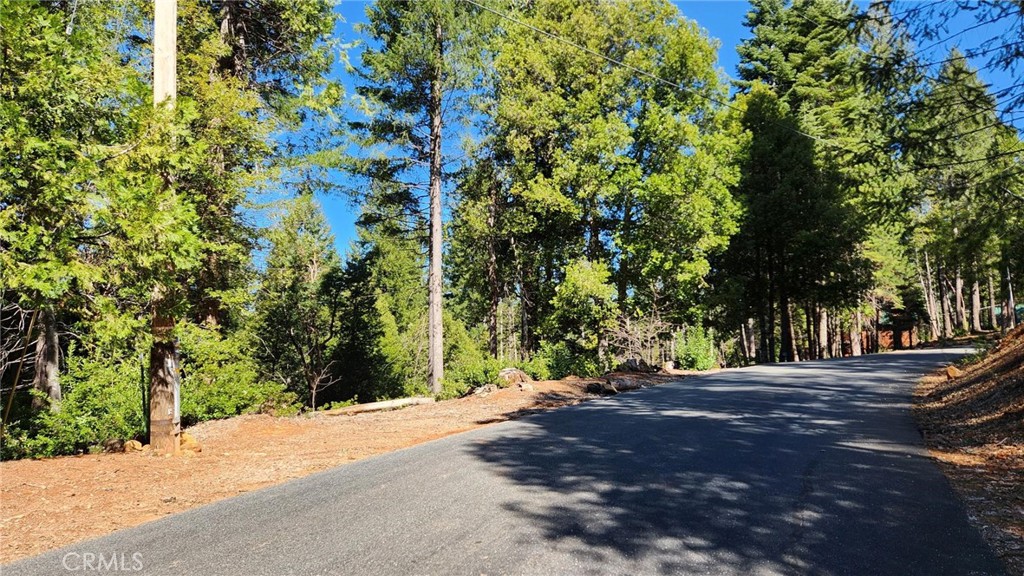11157 Breezy Boulevard Property Photo 14