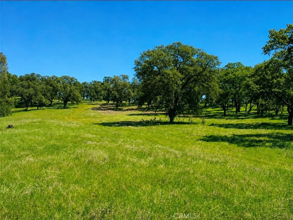 0 Crestmont Property Photo 1
