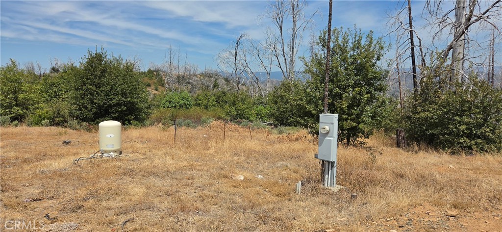 274 Webster Property Photo 3