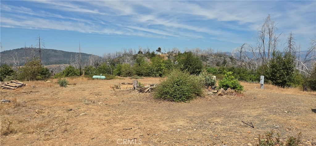 274 Webster Property Photo 11