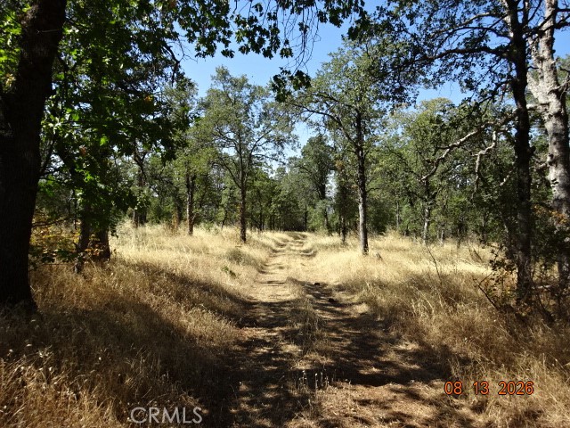 0 Lookout Mountain Property Photo 14