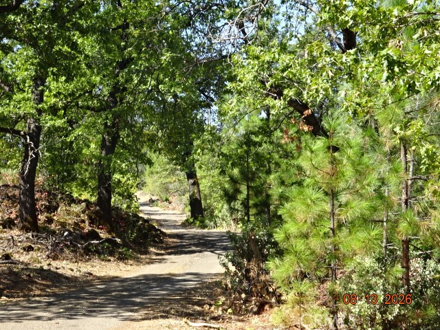 0 Lookout Mountain Property Photo 19