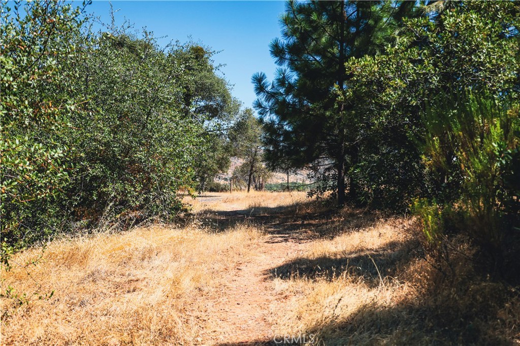6070 Old Olive Property Photo 18