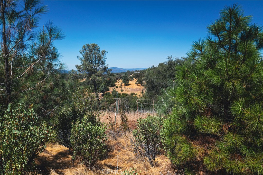 6070 Old Olive Property Photo 19