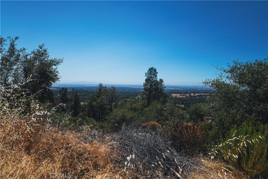 6070 Old Olive Property Photo 20