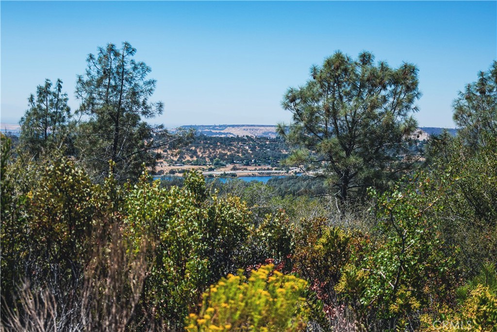 6070 Old Olive Property Photo 23