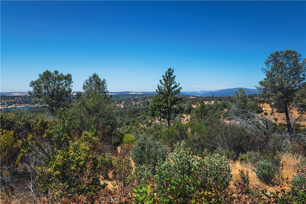 6070 Old Olive Property Photo 24