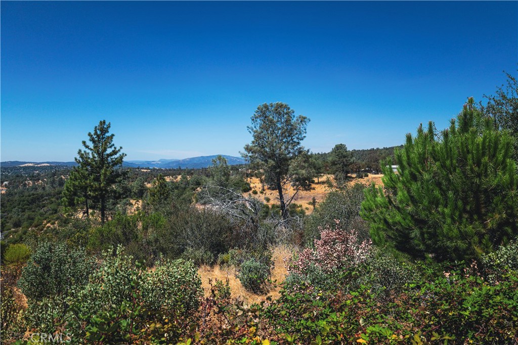 6070 Old Olive Property Photo 25