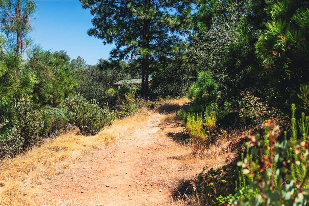 6070 Old Olive Property Photo 26