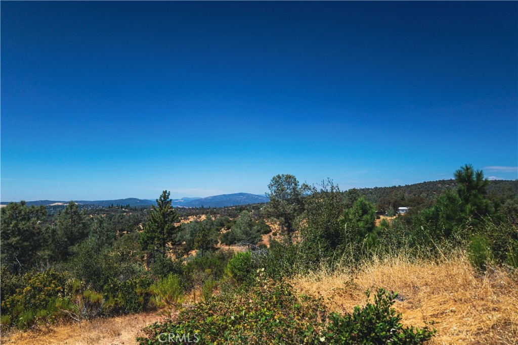 6070 Old Olive Property Photo 27