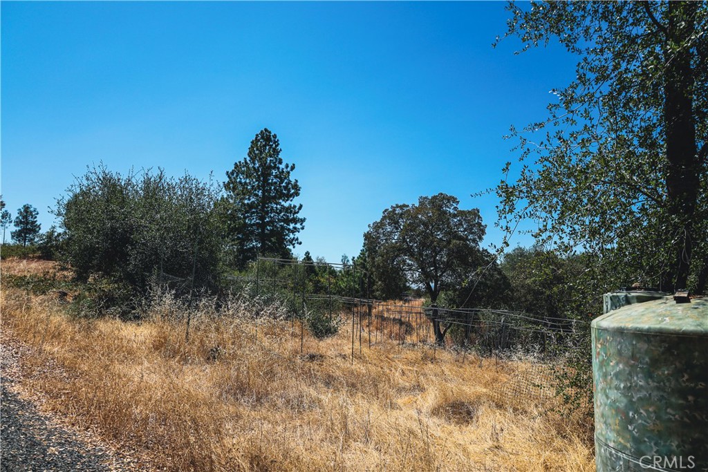 6070 Old Olive Property Photo 28