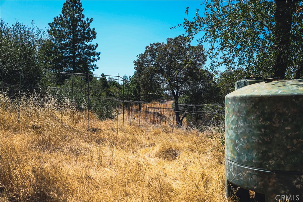 6070 Old Olive Property Photo 29