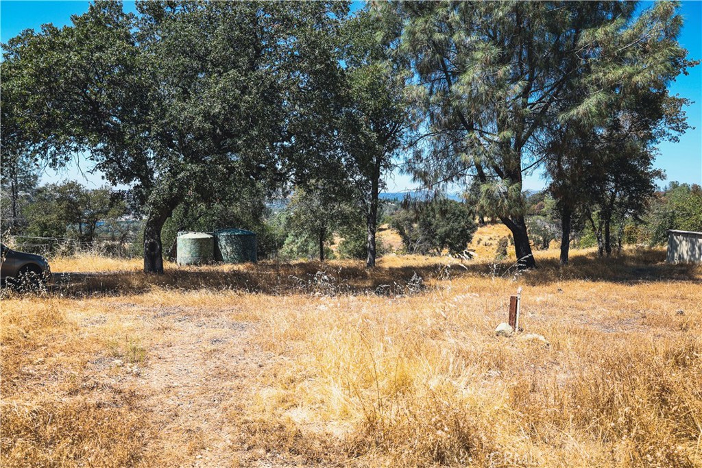 6070 Old Olive Property Photo 33