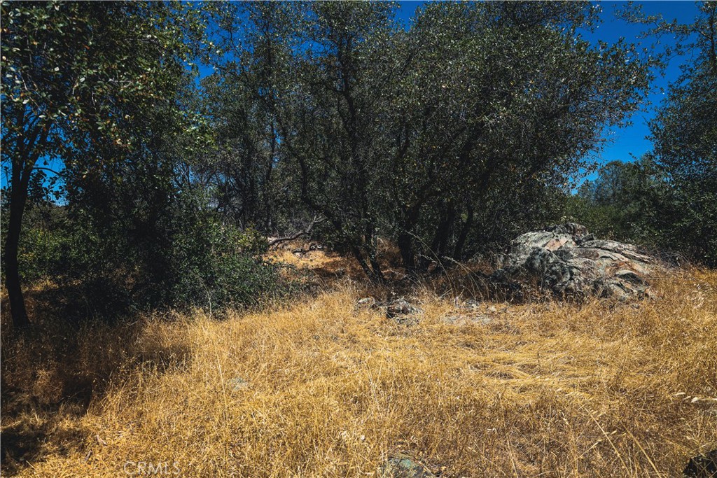 6070 Old Olive Property Photo 37