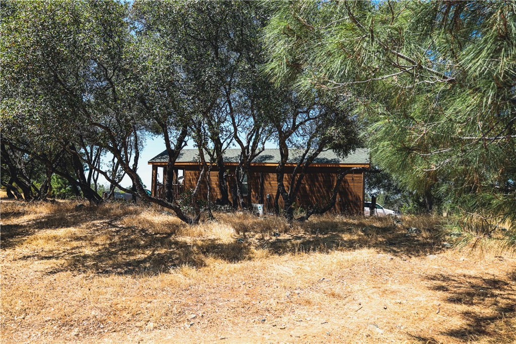 6070 Old Olive Property Photo 38