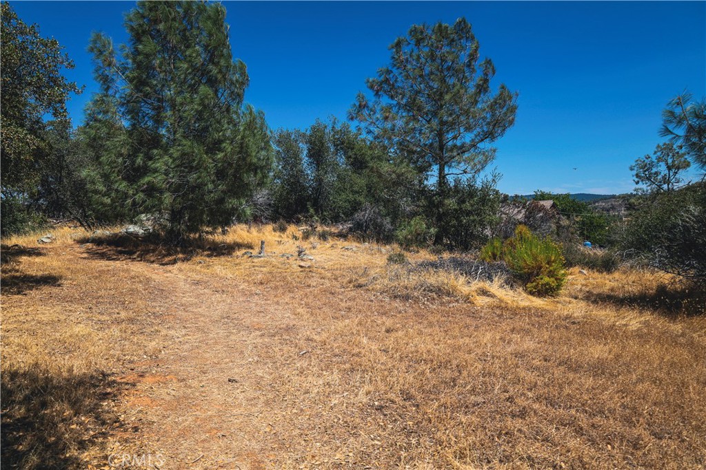 6070 Old Olive Property Photo 39