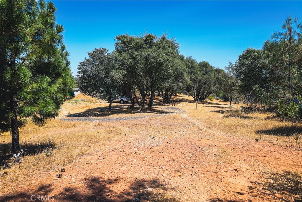 6070 Old Olive Property Photo 42
