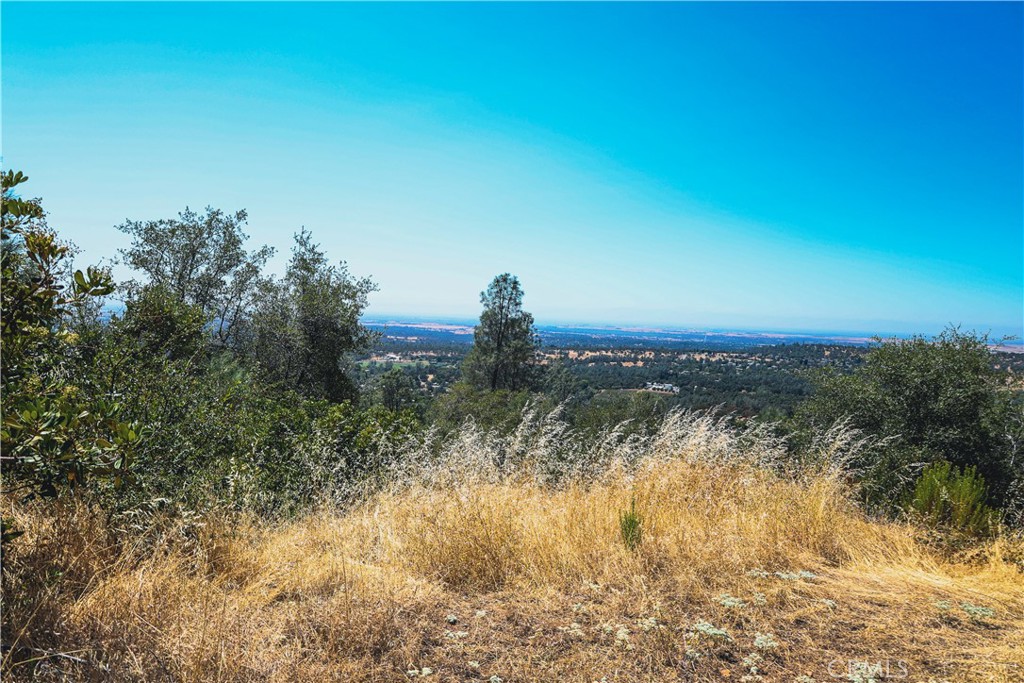 6070 Old Olive Property Photo 43