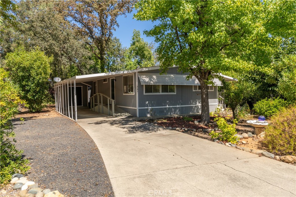 267 Lasso Parkway Property Photo 2