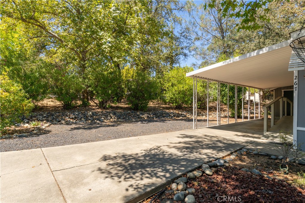 267 Lasso Parkway Property Photo 4