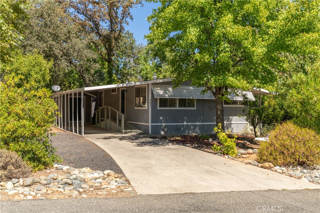 267 Lasso Parkway Property Photo 29