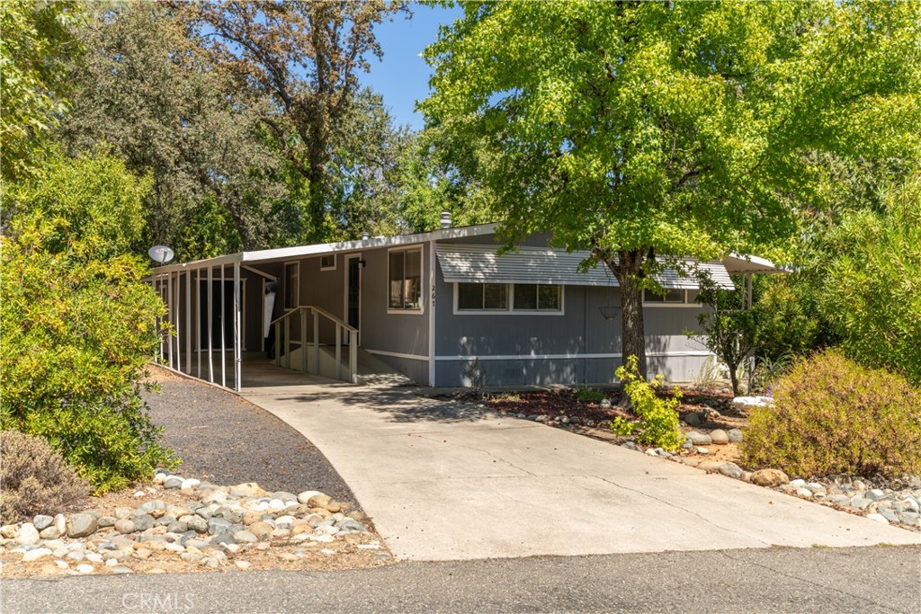 267 Lasso Parkway Property Photo 29