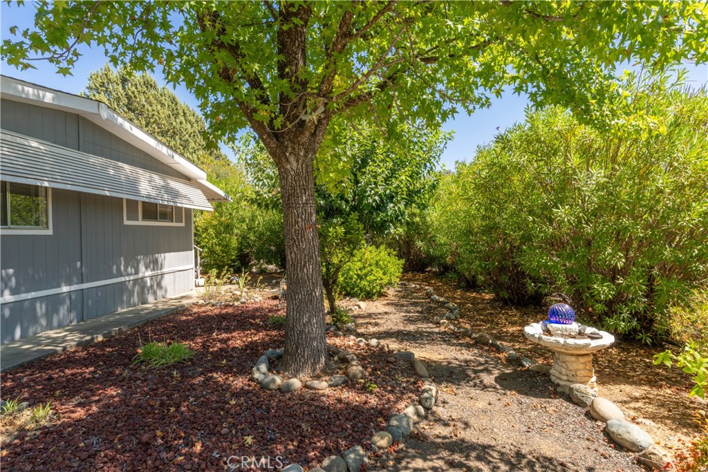267 Lasso Parkway Property Photo 32