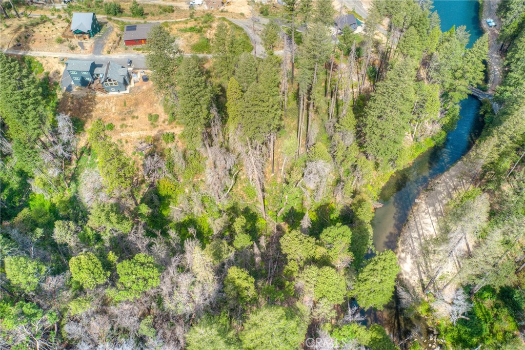 11 Dryad Property Photo 6