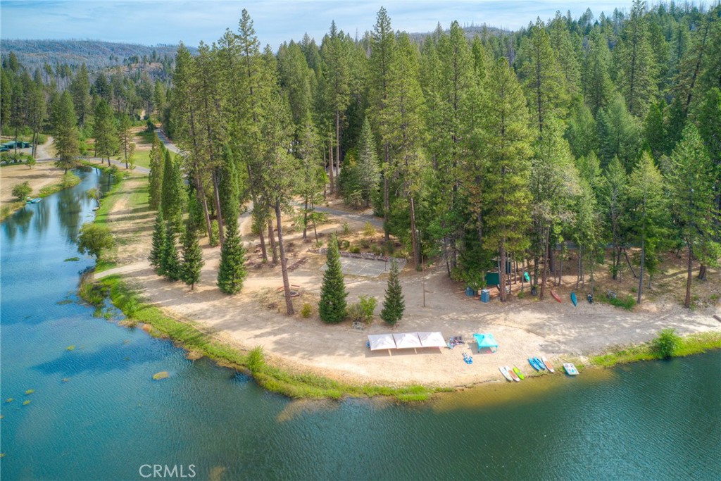 11 Dryad Property Photo 7