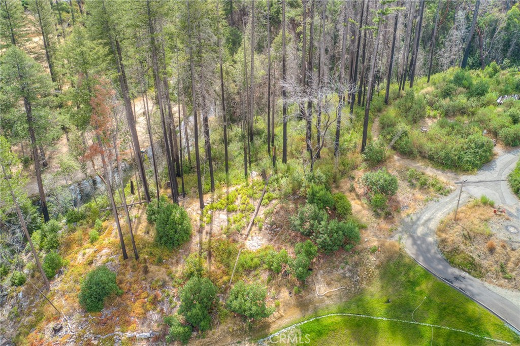 11 Dryad Property Photo 11
