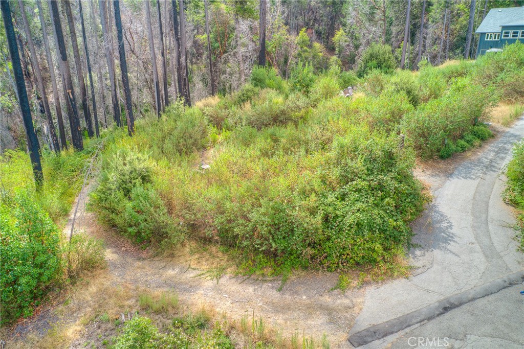 11 Dryad Property Photo 12