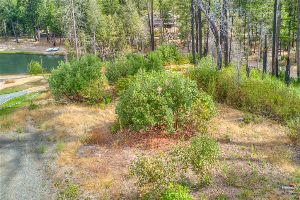 11 Dryad Property Photo 13