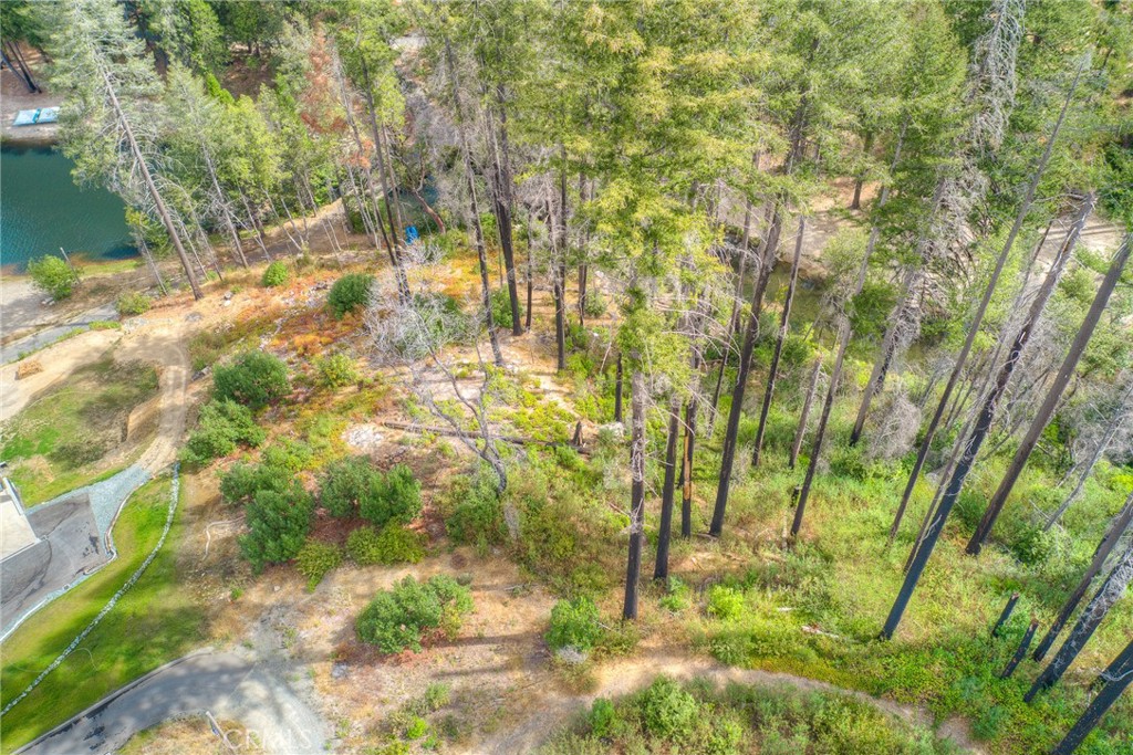 11 Dryad Property Photo 14