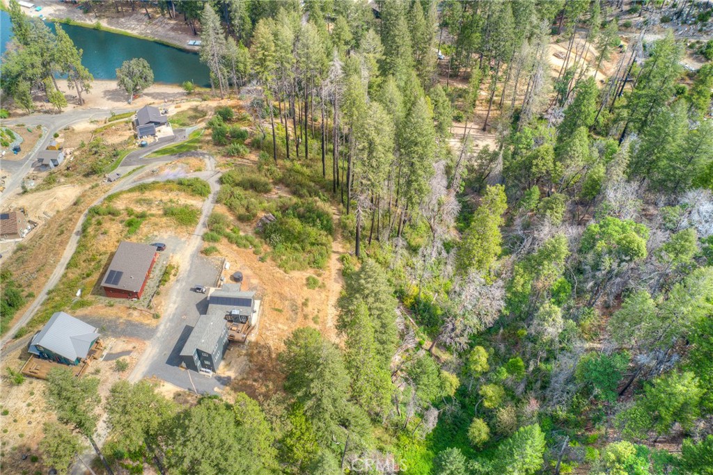 11 Dryad Property Photo 15