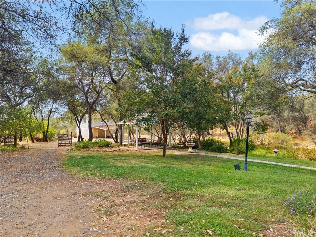 172 Ward Boulevard Property Photo 64