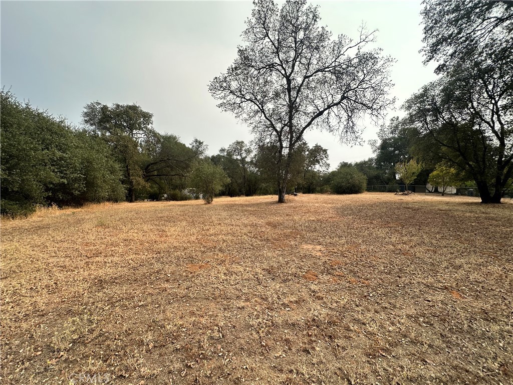 0 Mt. Ida Property Photo 1