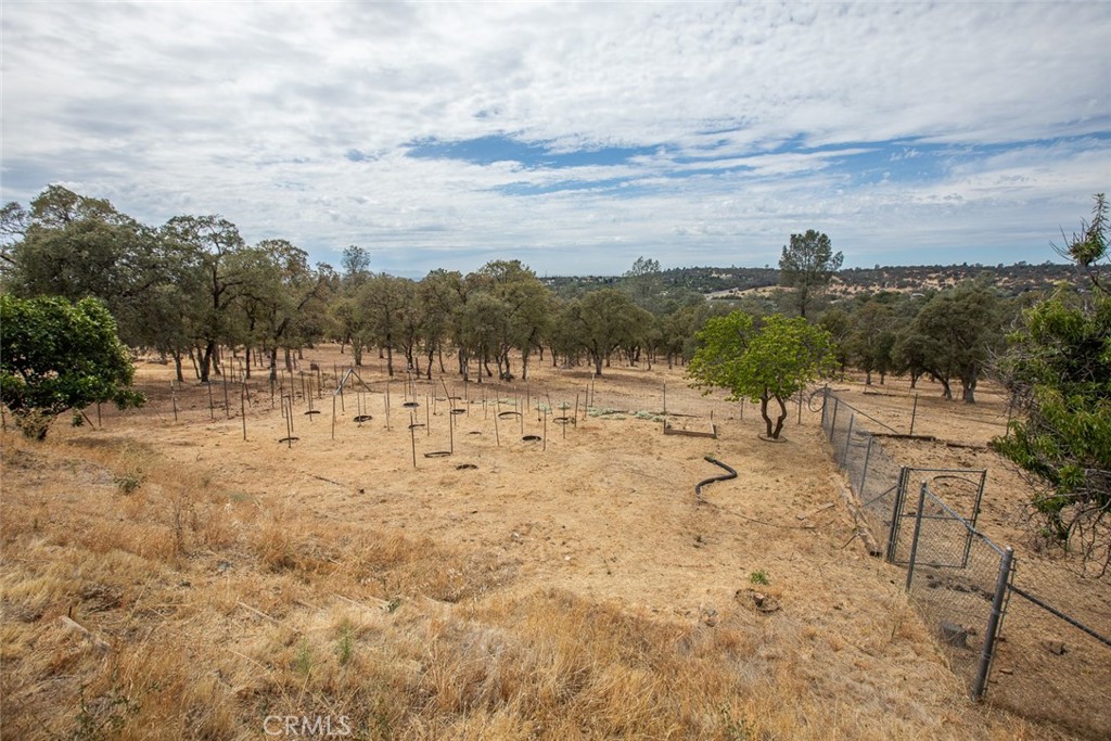 265 Lost Horizon Property Photo 64