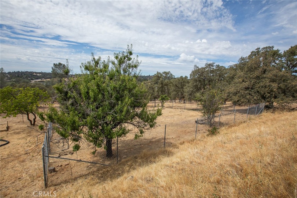 265 Lost Horizon Property Photo 65