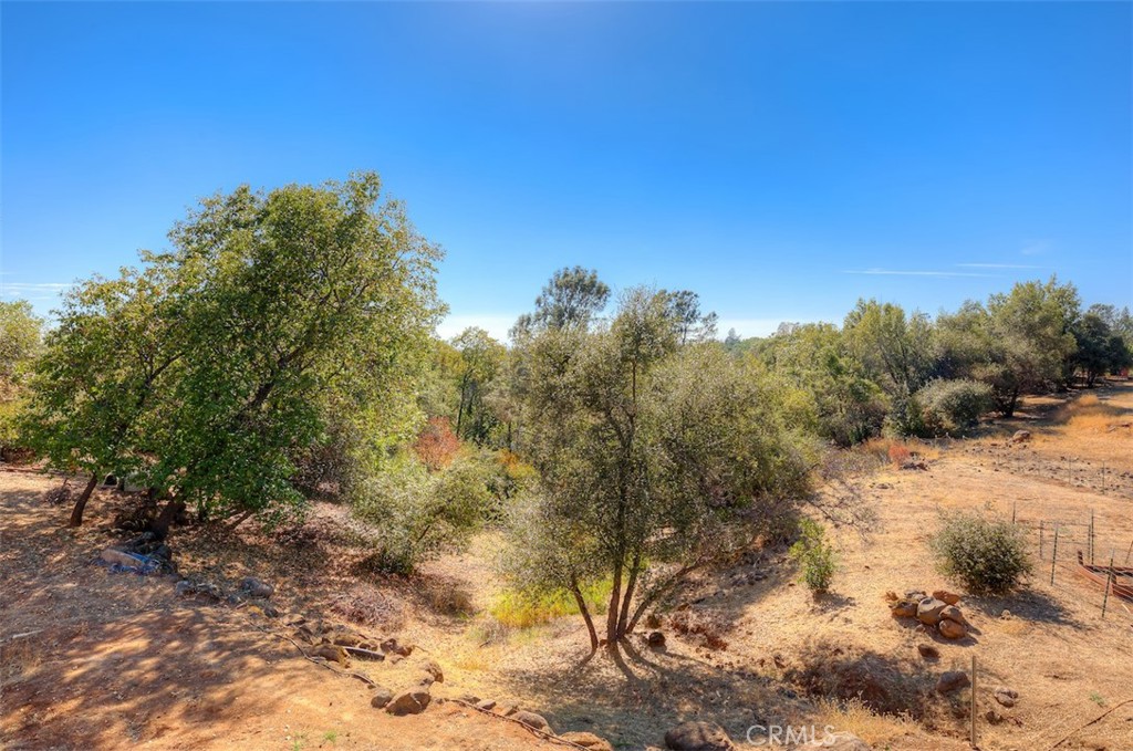 4965 Tami Property Photo 42