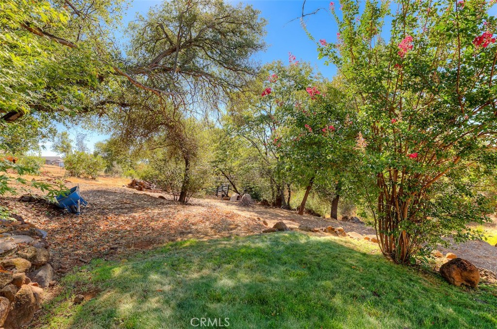 4965 Tami Property Photo 47