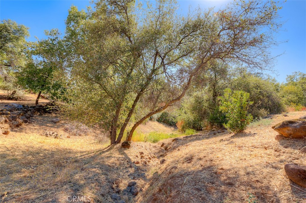 4965 Tami Property Photo 50