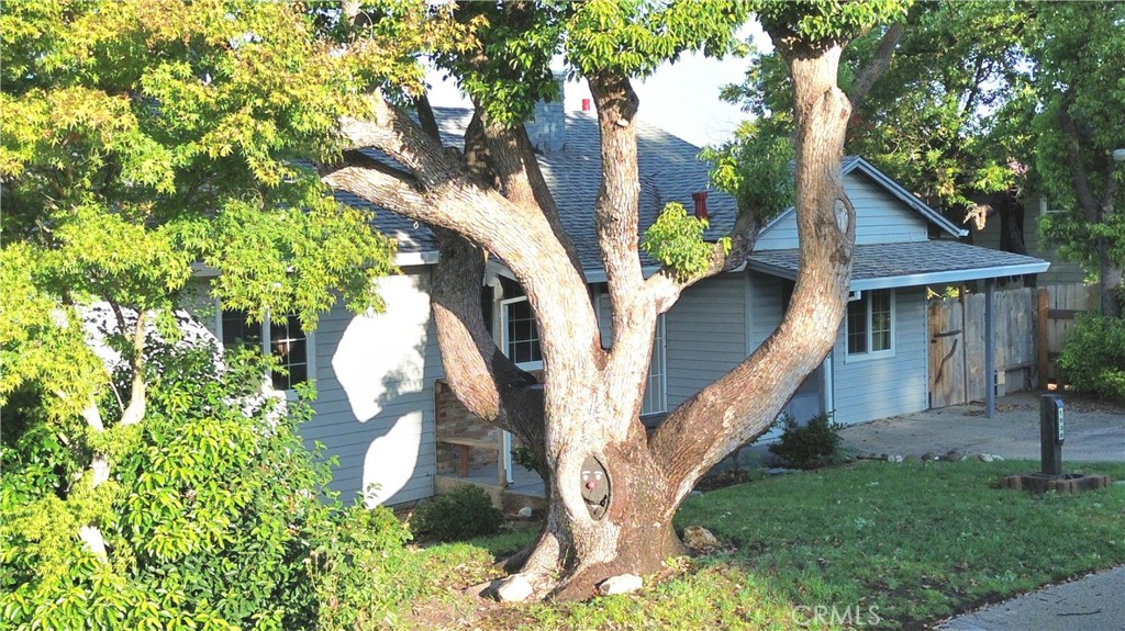 1938 Campbell Avenue Property Photo 3