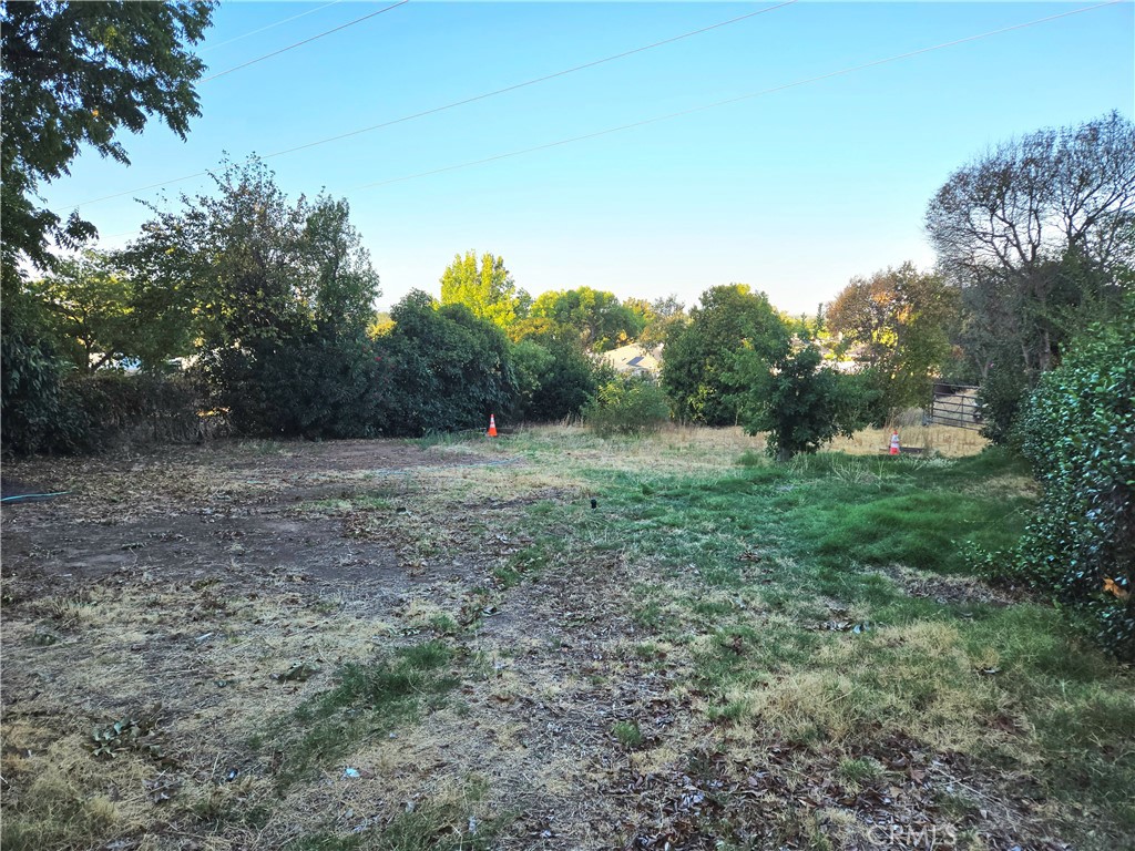 1938 Campbell Avenue Property Photo 29